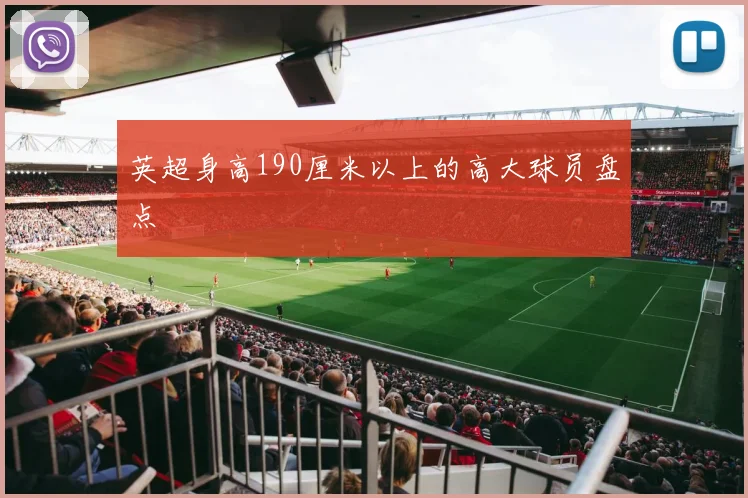 英超身高190厘米以上的高大球员盘点