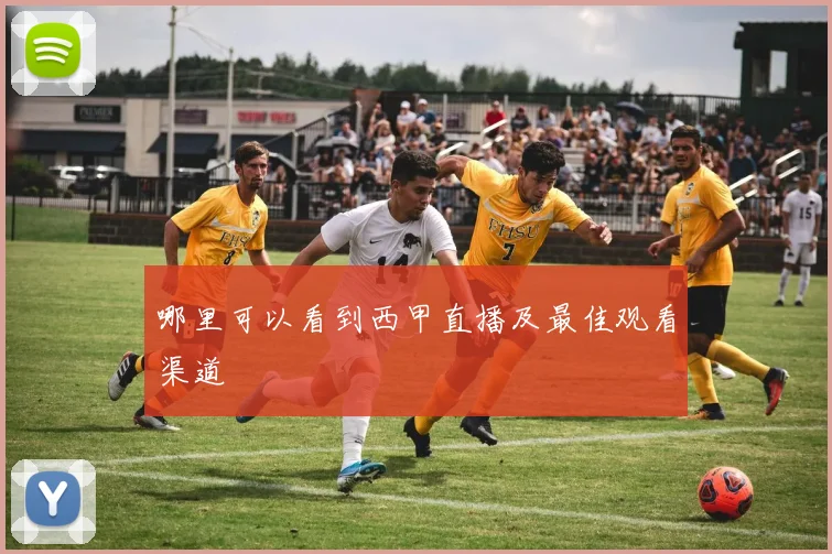 哪里可以看到西甲直播及最佳观看渠道