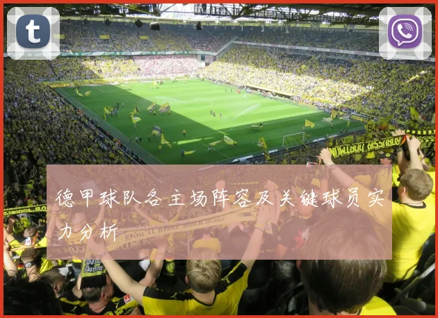 德甲球队各主场阵容及关键球员实力分析